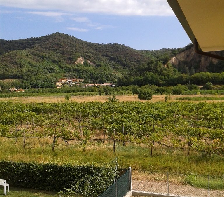 Villetta e appartamento a Galzignano