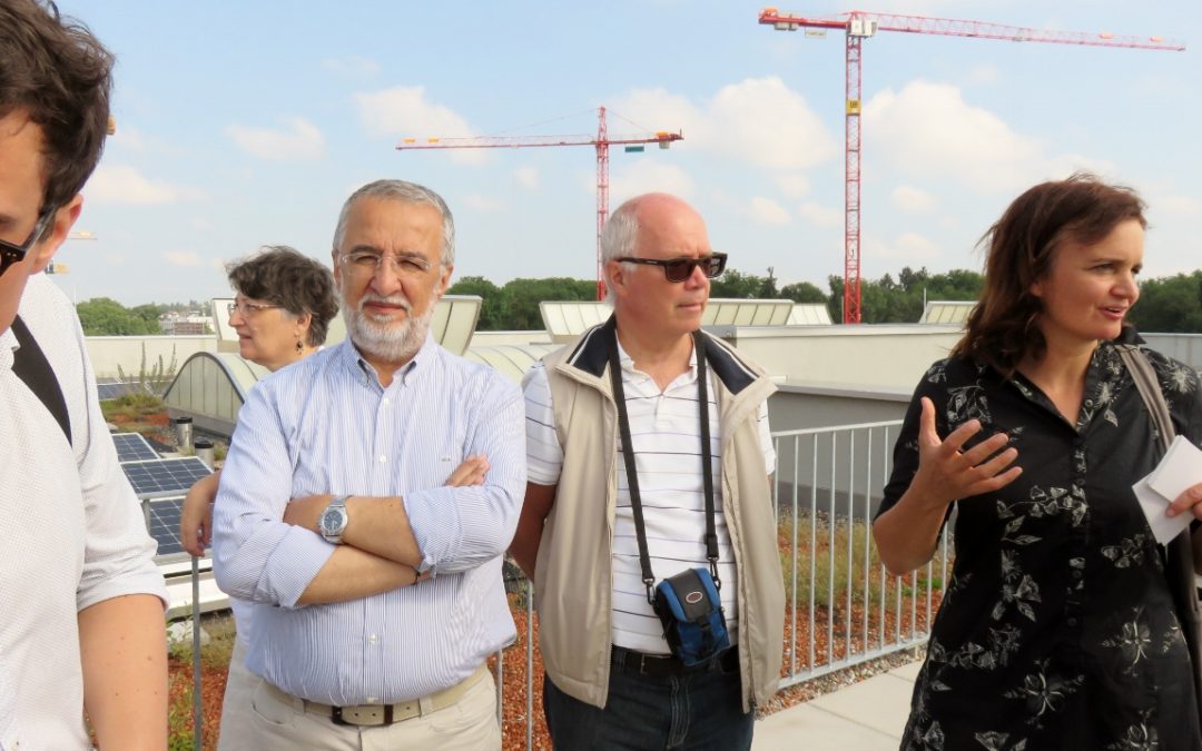 Zurigo: quando la cooperazione si sintonizza sui nuovi modi di abitare.